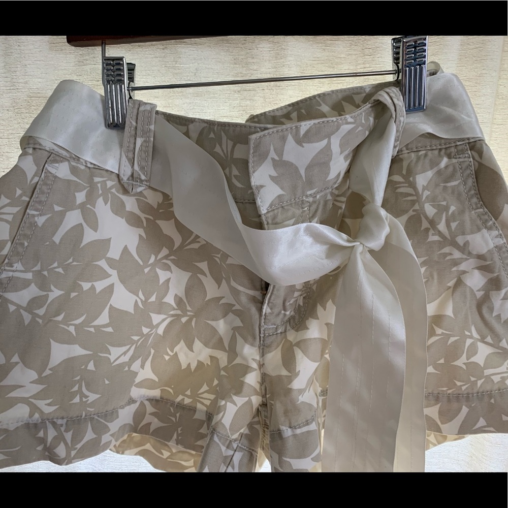 Express Shorts - Picture 4 of 5